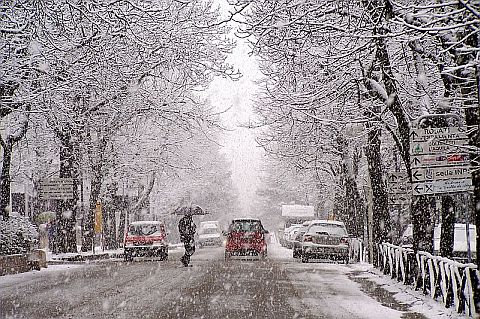 Aquila Neve Aquila Neve