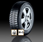 continental winter contact ts800