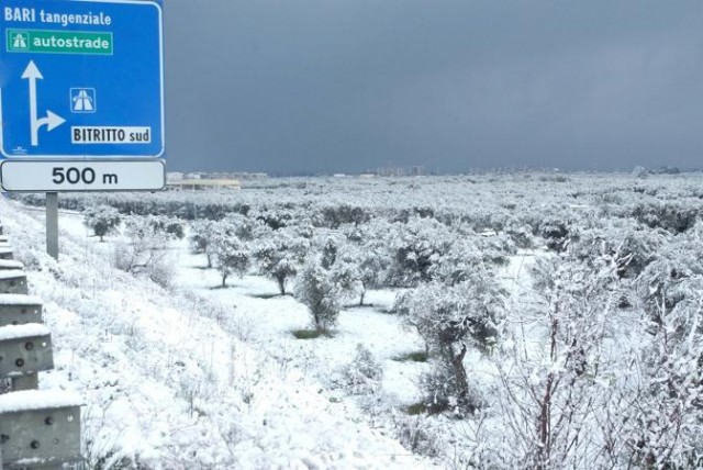 Ordinanze Pneumatici Invernali 2014 – 2015: Puglia 1 MALTEMPO: POCA NEVE IN PUGLIA, TEMPERATURE RIGIDE