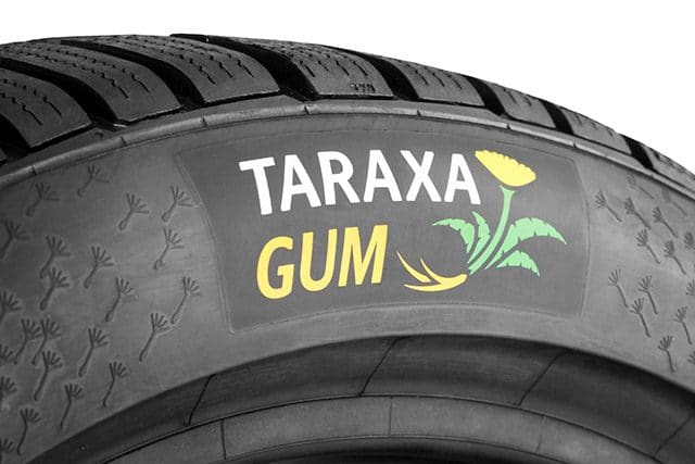Continental: in Germania un nuovo centro di ricerca per la gomma naturale da Dente di Leone 1 continental