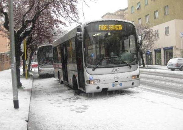 Bus gomme Neve