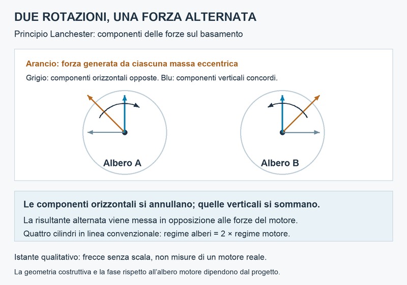 Schema qualitativo delle componenti di forza di due alberi di equilibratura controrotanti